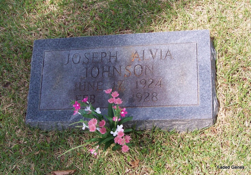 Joseph Alvia Johnson