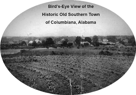 Bird's-Eye View of Columbiana